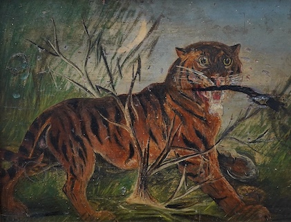 Late 19th / early 20th century, naive oil on panel, Study of a tiger, indistinctly signed lower left, A Ten...., 20 x 26cm. Condition - poor